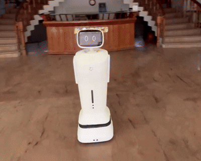 Humanoid Robots 2 2 vid