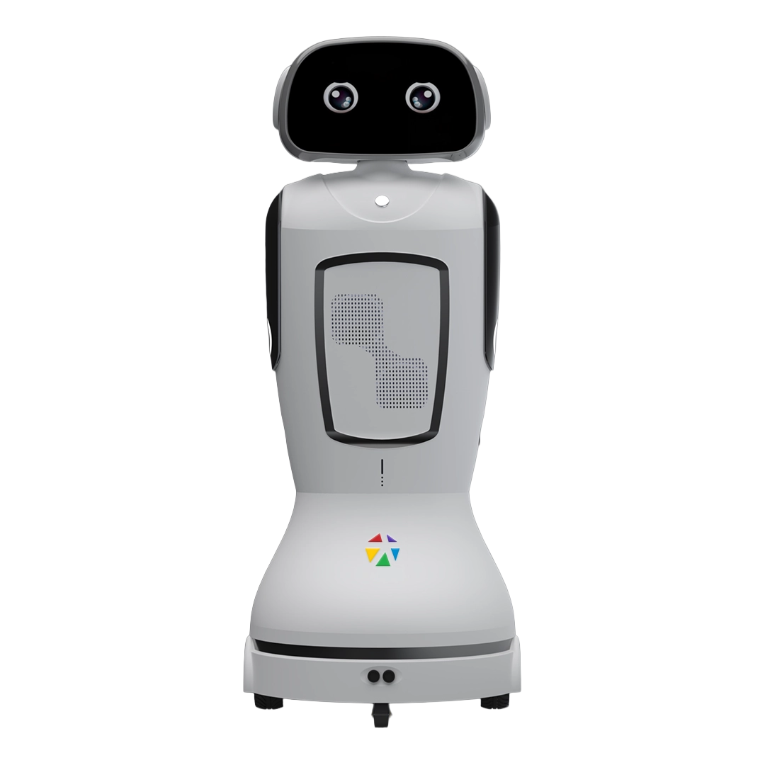 Humanoid Robots 5 Cento Mini