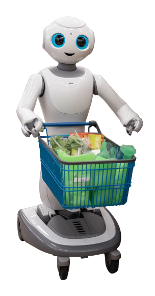 Meet Metiz StoreSPARC