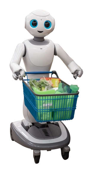 Meet Metiz StoreSPARC